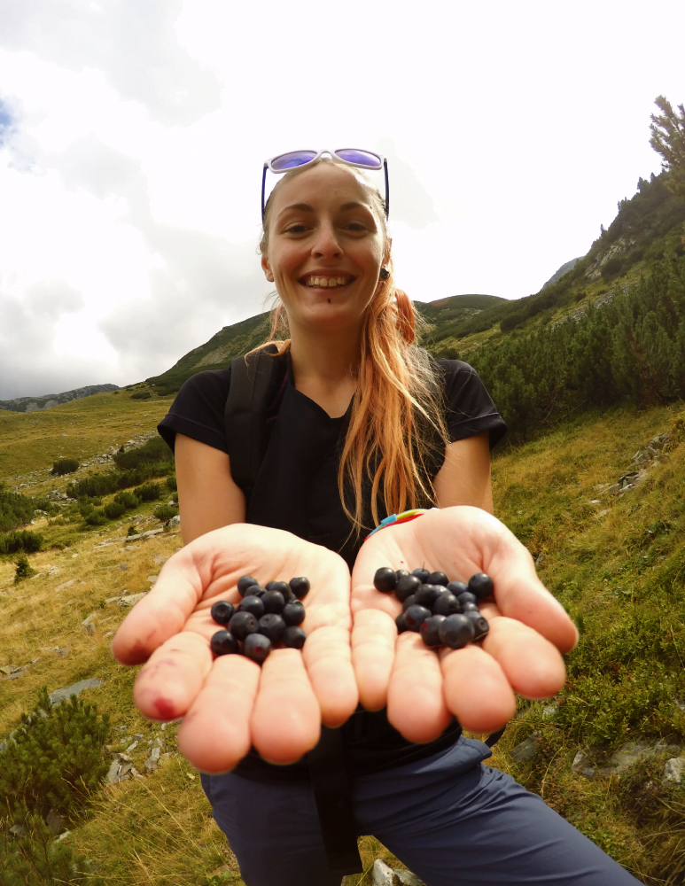 wild blueberries benefits vimergy pura fons 3