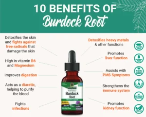 Benefits of Burdock Root Alcohol-Free Extract: Supports healthy skin, hair, and nails