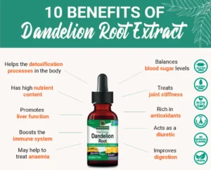 10 benefits of Dandelion Root, Nature's answer 