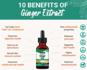 Benefits of Ginger Extract