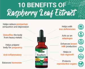 10 benefits of Raspberry Leaf Extract for good health