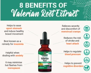 Benefits of Valerian Root Extract