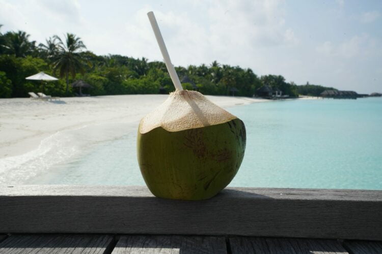 organic coconut water pura fons scaled e1687436608410