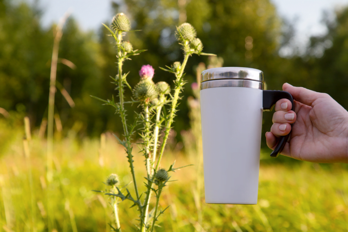 benefits burdock root pura fons