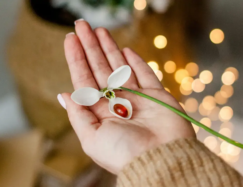 person's hand holding a white flower with capsule