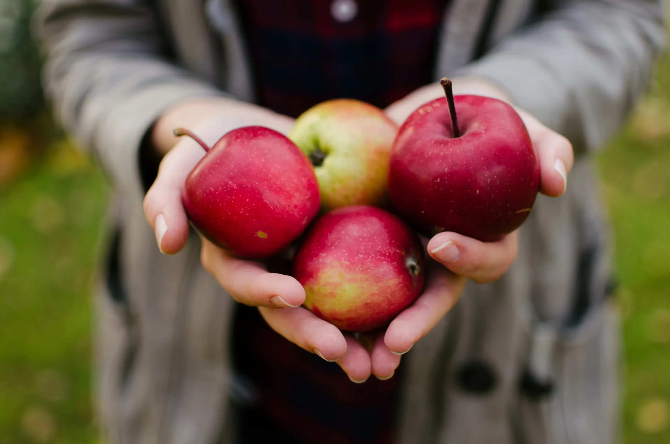 Highly available all year long, apples have countless benefits, including anti-inflammatory properties