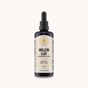MulleinLeaf_Front-1
